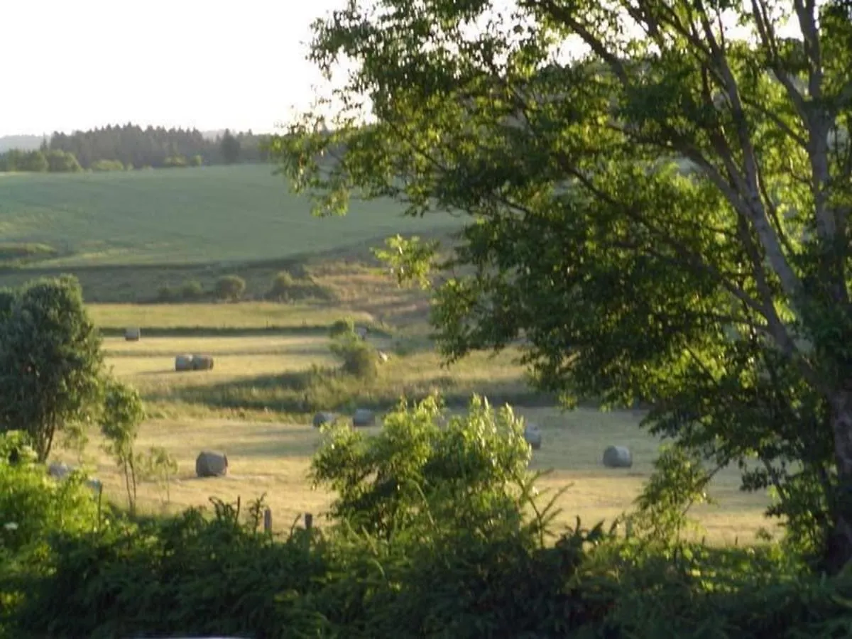 Holiday home Gite Familial Au Calme Avec Jeux, Vtt, Randonnee, Pres Du Parc Livradois, La Chaise-Dieu Et Craponne - Fr-1-582-214 Jullianges